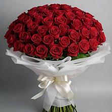 Букет 101 Красная роза Блэк Мэджик в Букановской