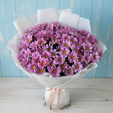 Букет цветов из:  Хризантемы в Букановской