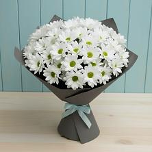 Букет цветов из:  Хризантемы в Букановской