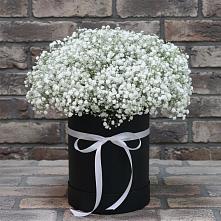 Цветочная композиция из Гипсофила в шляпной коробке в Букановской