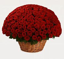 Премиум букет из: Розы в Букановской