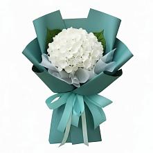 Букет цветов из:  Гортензия в Букановской